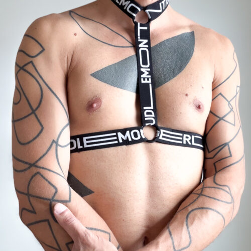 Harness SHY